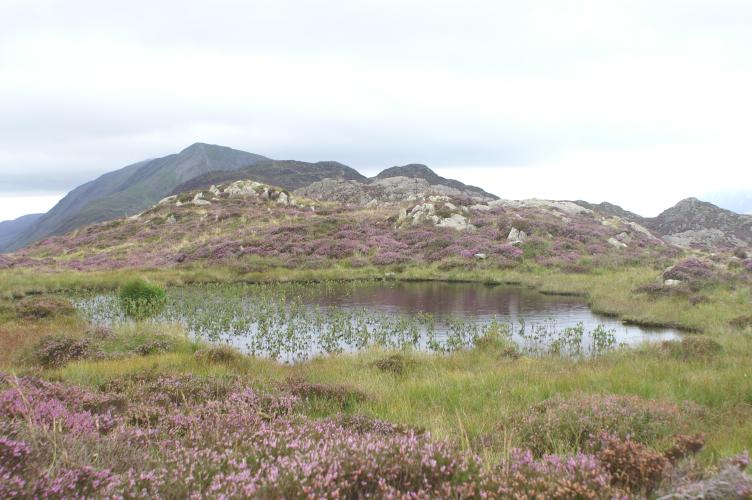 A little tarn on Haystacks