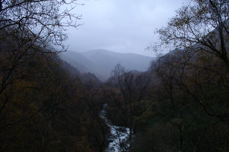Looking down the Glen