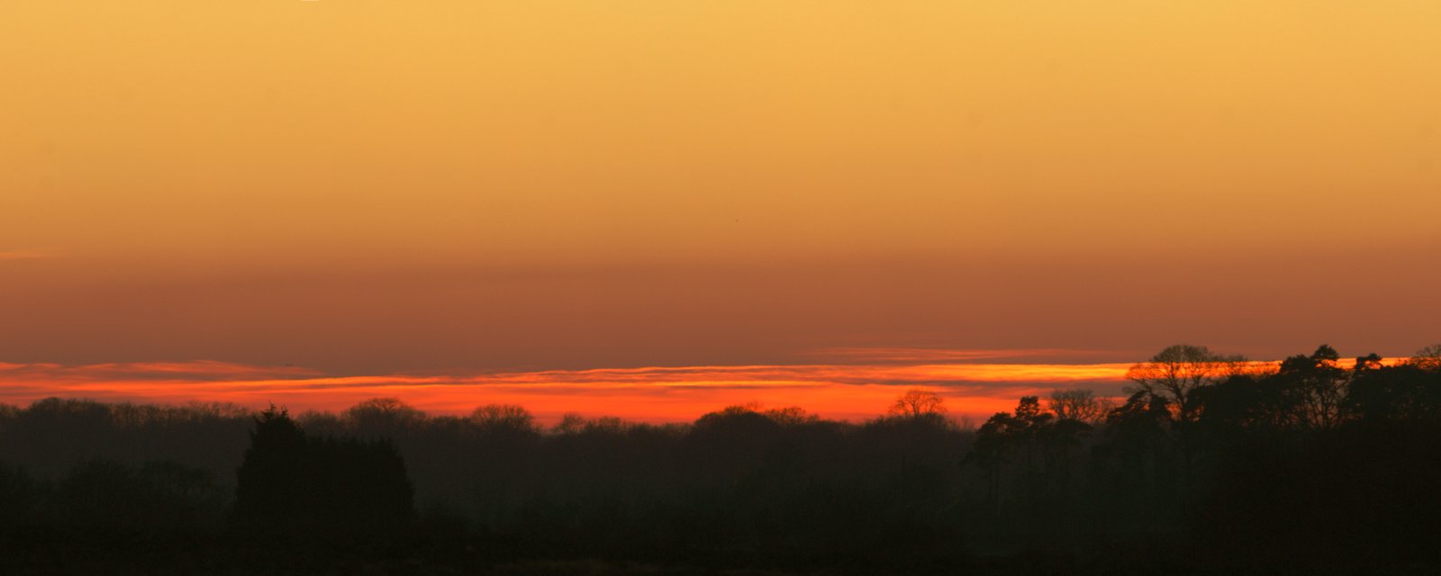 Sunset over Hatfield Forest
