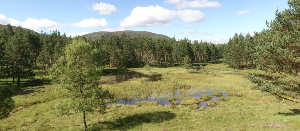 Pond in Corrie Feragie Pond in Corrie Feragie