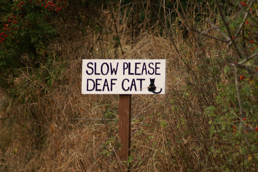 An amusing road sign