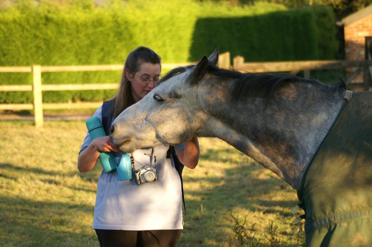 Friendly horse with Susannah