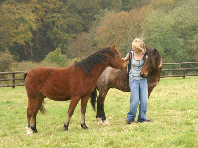 Rowan, the horse whisperer