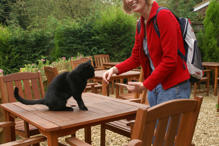 We stopped at this pub for lunch. Rowan stroked this cat and got scratched. She's allergic to cats. Silly girl.