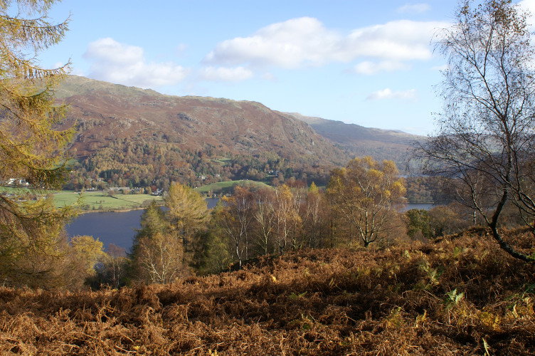 Grasmere, through the trees