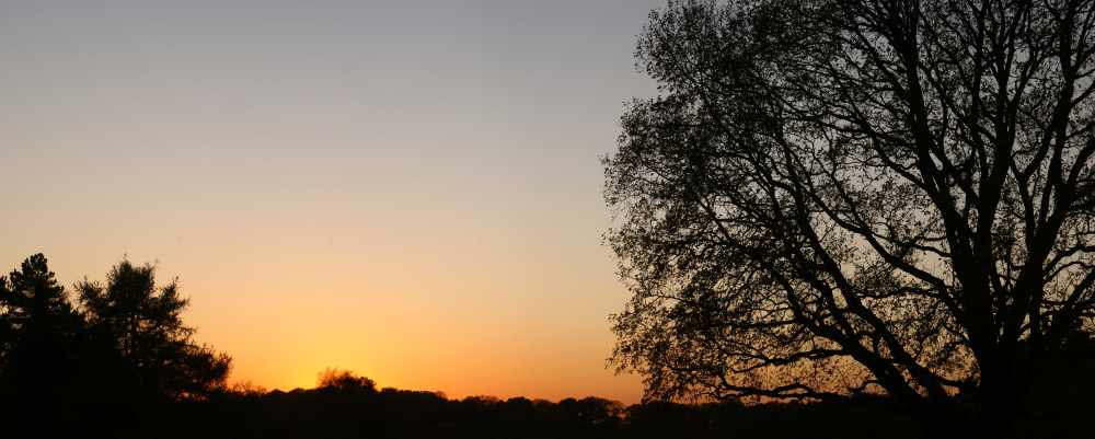 The last fading light