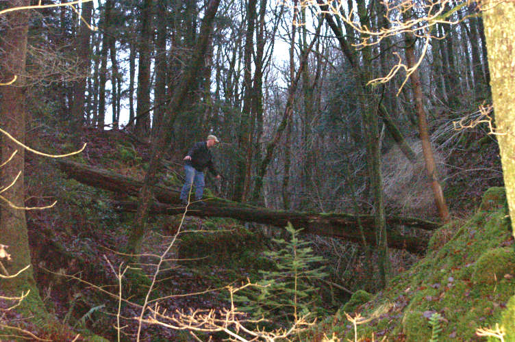 Rick, crossing the ravine