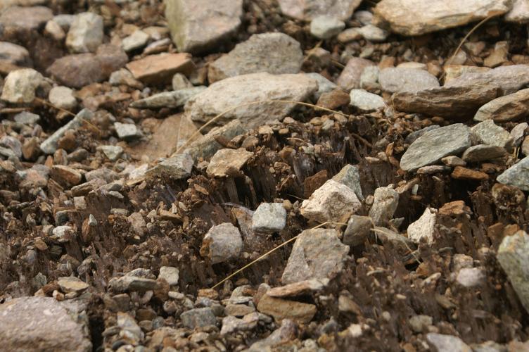 Up-side down icicles on the path