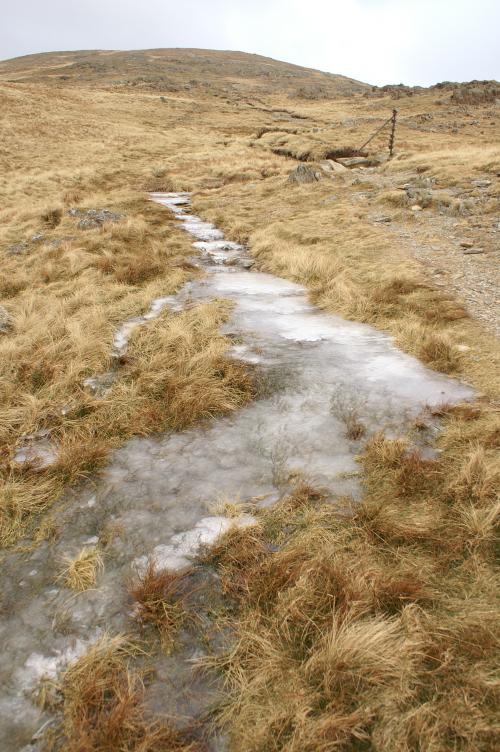 A frozen water flow on the path