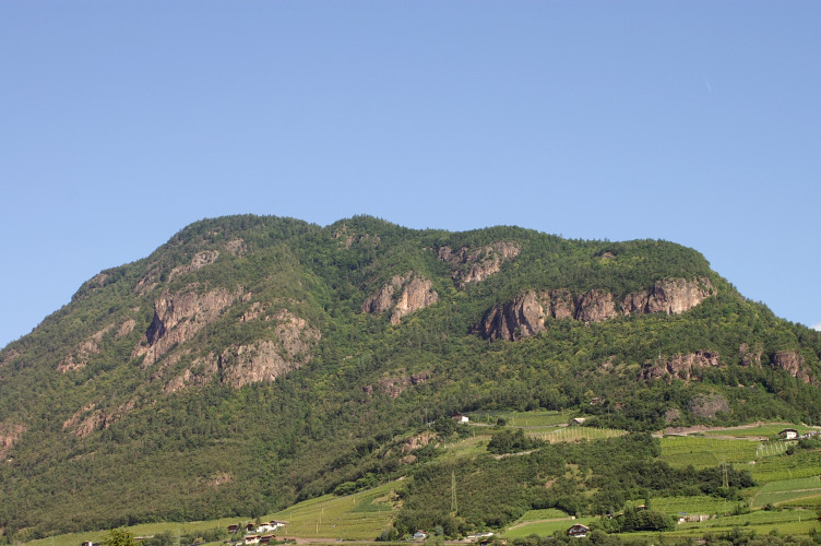 Hillside next to Bolzano