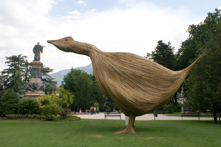 The biggest goose in the world